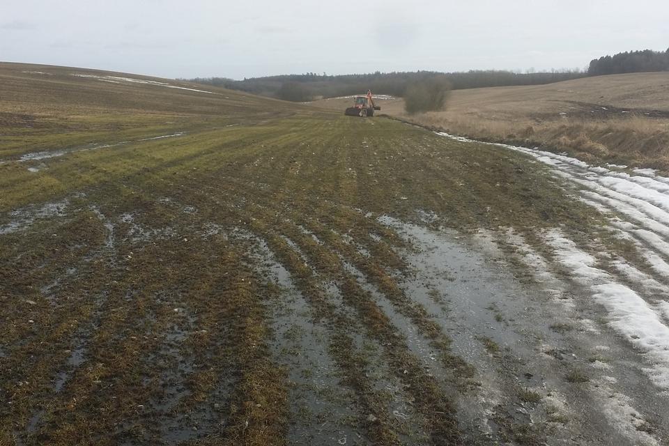 gylle 2018