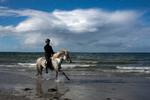Naboskabet kan være en af grundene til, at livskvaliteten i Læsø Kommune er så høj.  Foto: Per Folkver