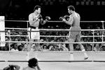 Muhammad Alis kamp mod George Foreman (th.) i 1974 i det daværende Zaire er en af de mest legendariske boksekampe i historien og blev kendt som 'The Rumble in the Jungle'. Foto: -/Ritzau Scanpix