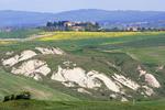I Accona-ørkenen i Toscana er jorden nuancer af grå og beige, frembragt af den særlige lerart, ’mattaione’. Foto: Jens Henrik Nybo