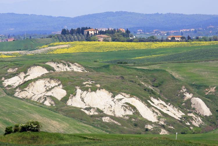 I Accona-ørkenen i Toscana er jorden nuancer af grå og beige, frembragt af den særlige lerart, ’mattaione’. Foto: Jens Henrik Nybo