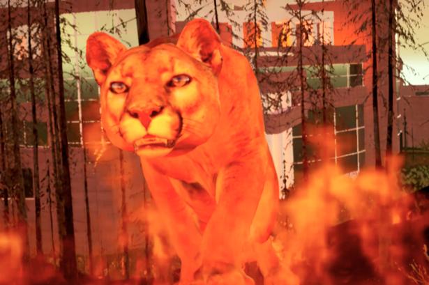 Foto: CPH:DOX Foto: CPH:DOX