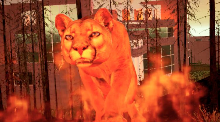 Foto: CPH:DOX Foto: CPH:DOX