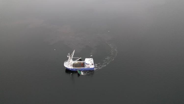 Fartøjet Ronja skraber muslinger i Isefjord. Arkivfoto:  Jan Henningsen