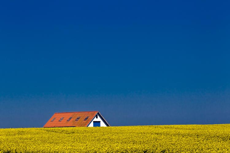 Tre orangevindrikkende unge er flyttet ud af byen for at bo på landet og kæmper med at få virkeligheden til at passe til forventningerne. Foto: Ole Lind