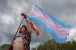 En demonstrant til Transgender Day of Visibility i Washington, D.C, 31. marts 2025.  Foto: Evelyn Hockstein/Ritzau Scanpix