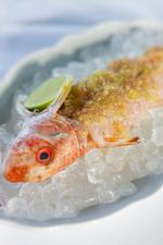 »Sådan her vil jeg altid gerne have serveret min sashimi«, skriver anmelderen om Babylons røde multe-servering.   Foto: Cecilie Rolvung