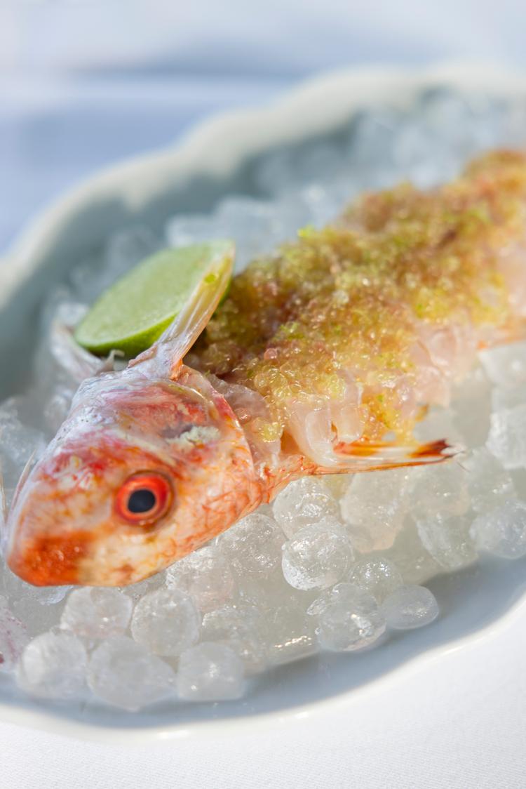 »Sådan her vil jeg altid gerne have serveret min sashimi«, skriver anmelderen om Babylons røde multe-servering.   Foto: Cecilie Rolvung