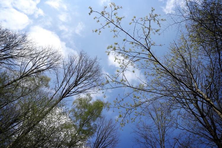 Hvis du lider af høfeber, kan det være en god idé at begrænse dine udendørsaktiviteter, især i visse perioder af året. Foto: Jens Dresling