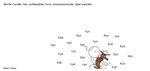 web_maren_2025-04-20