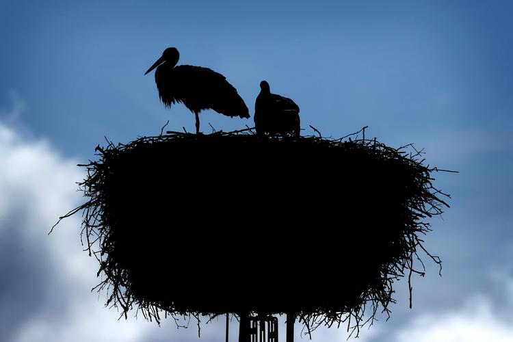 Foto: Jens Dresling