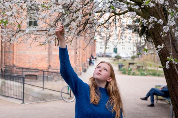 Foto: Cecilie Rolvung