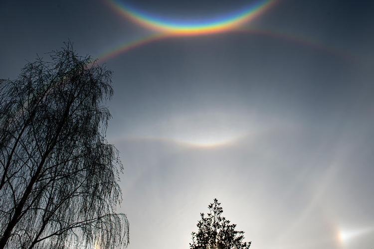 Vejrfænomenet halo danner en flot cirkelbue, der lyser rundt om solen. Foto: Casper Dalhoff/Casper Dalhoff