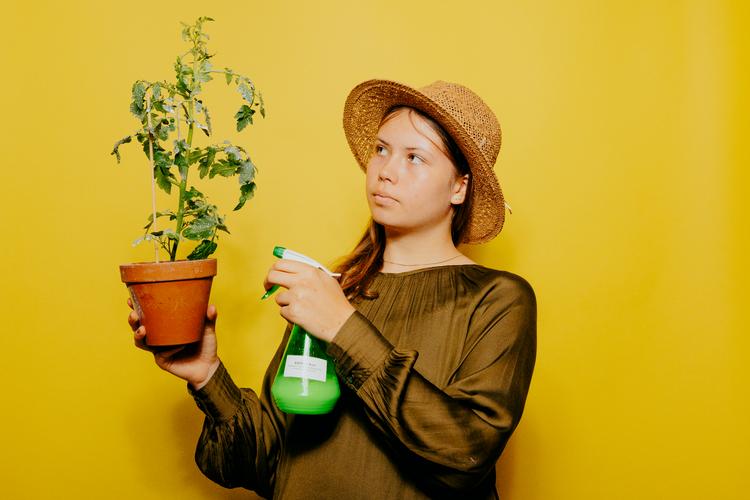 Foto: Katrine Noer/Katrine Noer