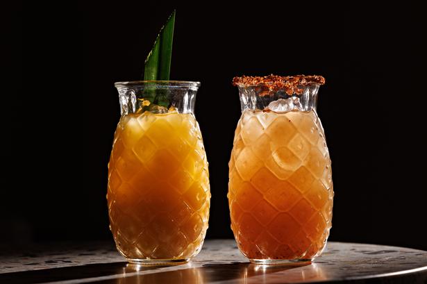 Stuffed. Foto: Jacob Ehrbahn