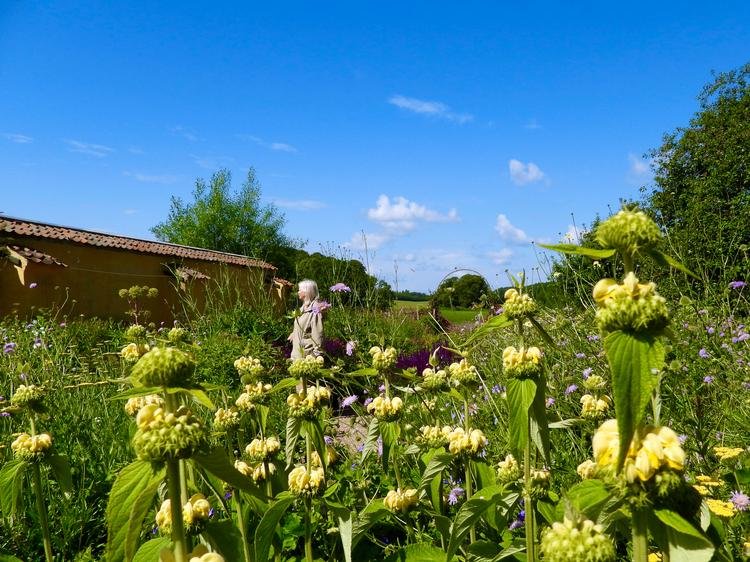 At the visitor apiary in the town of Tranekær on Langeland, owner Alice Nøhr has created a garden specifically designed to attract bees. The apiary is one of the 111 experiences featured in the book that guides visitors through the islands of the South Funen Archipelago. 