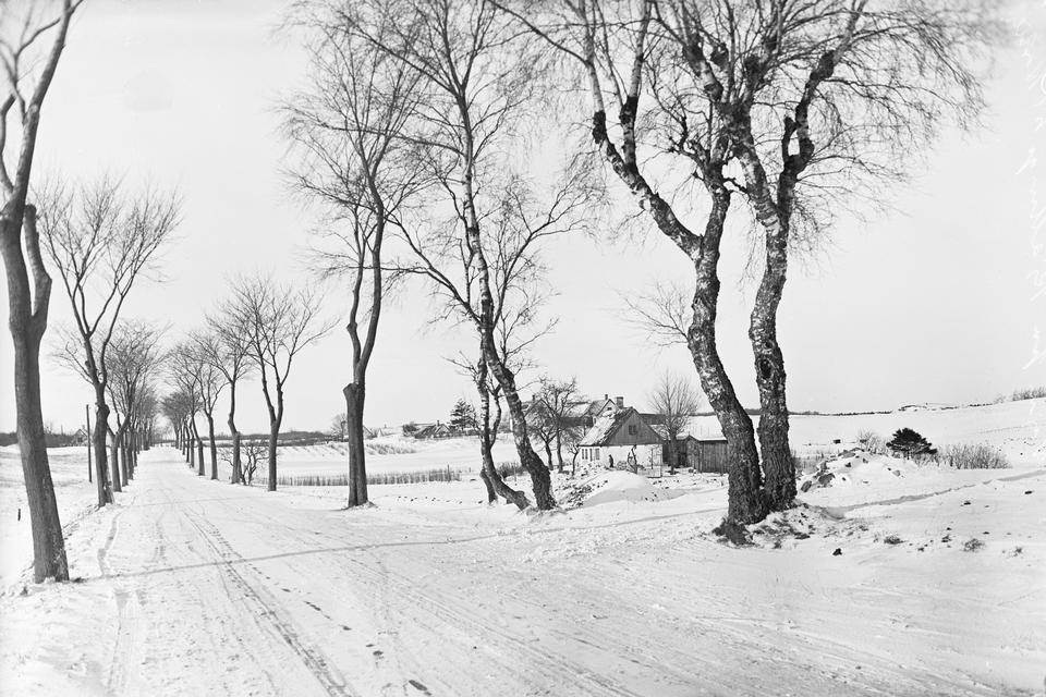 Foto: Holger Damgaard