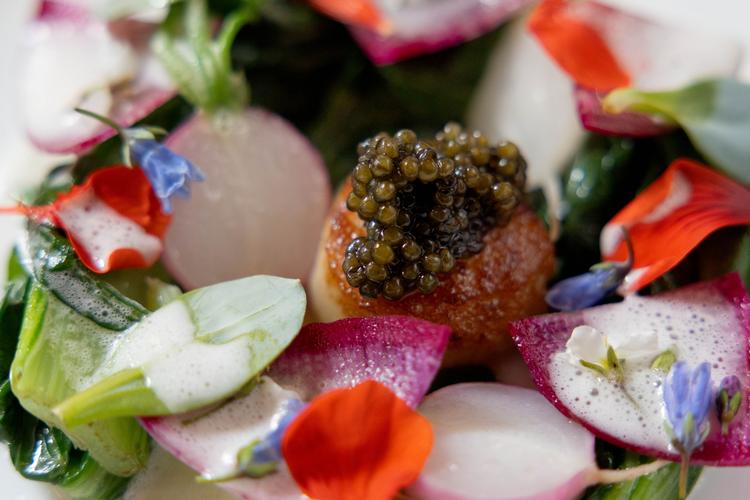 Kammuslingen var godt ristet, men smagen kom aldrig frem under den kolde kaviar-slushice på toppen.  Foto: Signe Lægsgaard