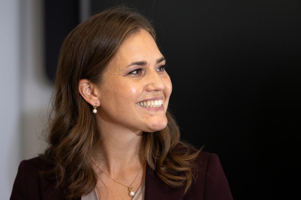 marie bjerre farve