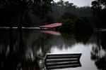 I løbet af blot tre dage er der faldet regn svarende til fire måneders nedbør i delstaten New South Wales i Australien. Foto: Saeed Khan/Ritzau Scanpix