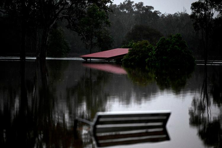 I løbet af blot tre dage er der faldet regn svarende til fire måneders nedbør i delstaten New South Wales i Australien. Foto: Saeed Khan/Ritzau Scanpix
