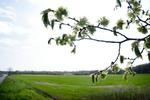 Foto: Jens Dresling