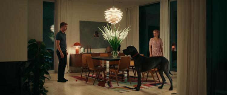 Hvis det kniber med liv og kærlighed i den lækre lejlighed, er det måske en diskret lille hund, man står og mangler til at få designmøblerne til at krympe i betydning.  Foto: Another World Entertainment