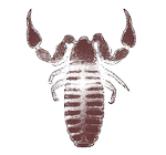 Illustration: Tomas Østergren