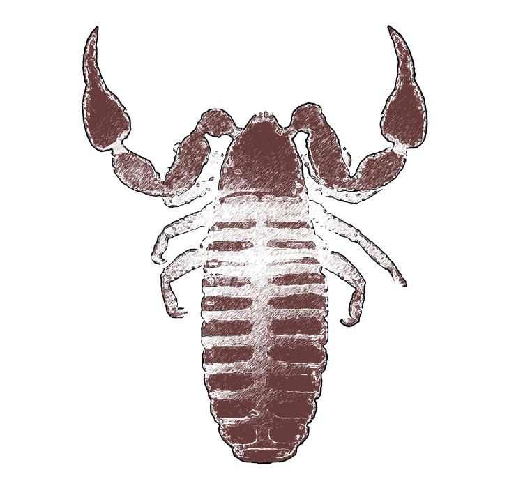 Illustration: Tomas Østergren