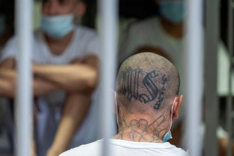 Et MS-13-medlem i et salvadoransk fængsel. Nu ser den berygtede bande ud til at vinde fodfæste i Europa. Foto: Alex Brandon/Ritzau Scanpix