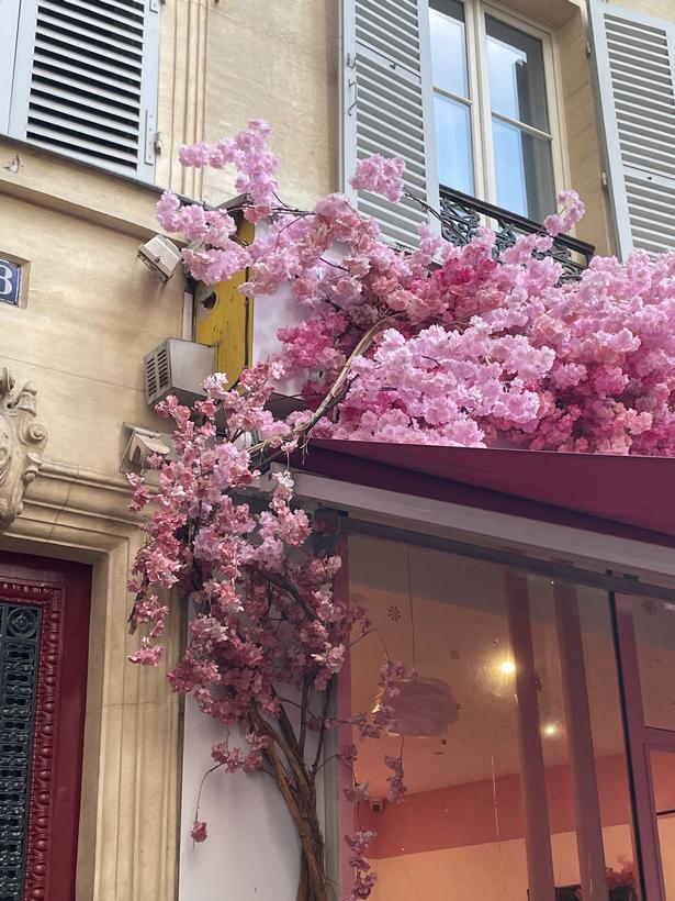 Hvem kan se, hvilke caféblomster der er ægte, og hvilke der er lavet af plastic? 