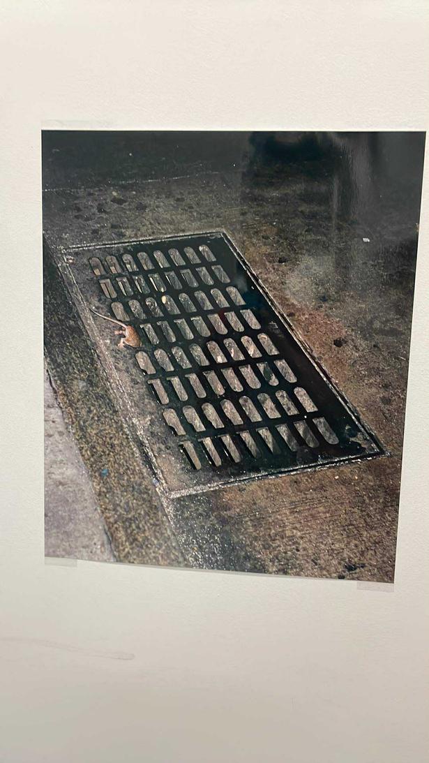 att.z0HzXX-QtoprE7iALSILm0QT_8CpB20DA6zyFOm5cN8