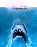 Hvad gemmer sig under overfladen? 'Dødens gab' var ikke kun sjov at lave for Steven Spielberg, der havde en masse problemer med den mekaniske haj. Til gengæld sikrede filmen hans helt store gennembrud. 'Dødens gab' skrev også filmhistorie., da den blev den første sommerblockbusterfilm.    Foto: Universal/af Archive/Mary Evans/Ritzau Scanpix