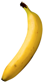 NETbanan