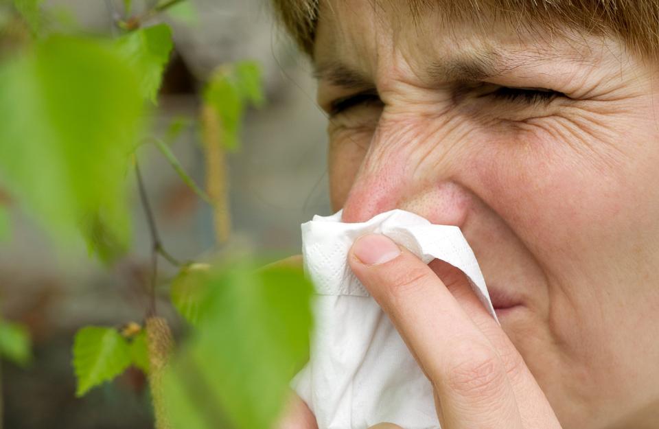 Over en kvart million skal til lægen for at forny allergirecepter