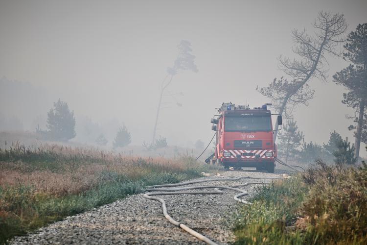 Foto: Claus Bjørn Larsen/Ritzau Scanpix