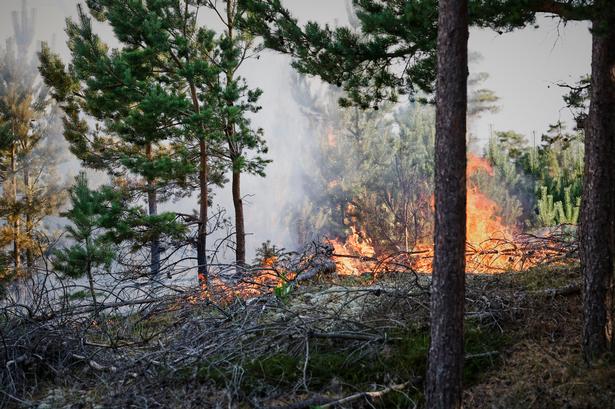 Foto: Claus Bjørn Larsen/Ritzau Scanpix