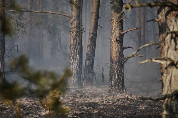 Foto: Claus Bjørn Larsen/Ritzau Scanpix