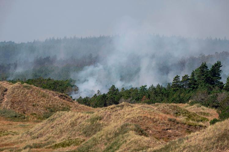 Der arbejdes fortsat med slukningsarbejdet efter en naturbrand i Skagen Klitplantage.  Foto: Bo Amstrup/Ritzau Scanpix