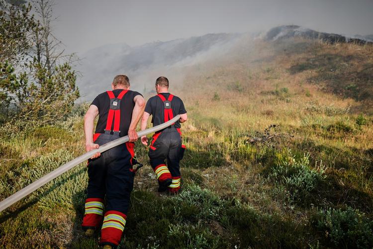 Foto: Claus Bjørn Larsen/Ritzau Scanpix
