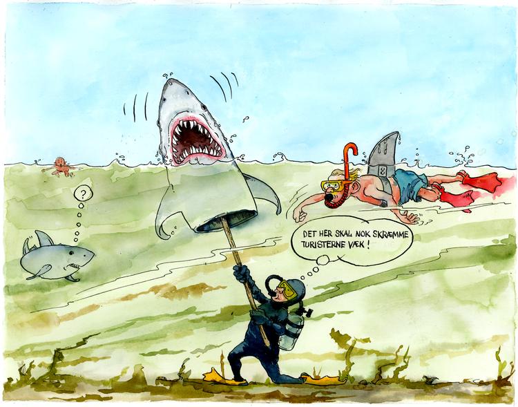 Foto: Roald Als/POLITIKEN