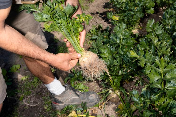 Parallelt med sikkerhedspolitik og oprustning, skal vi sætte turbo på den grønne omstilling. Foto: Marcus Emil Christensen