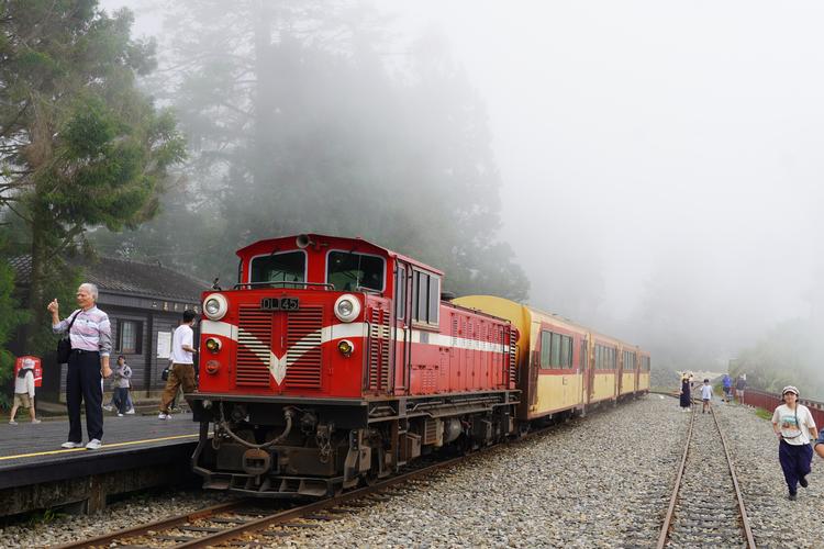 Alishan-toget pruster og bumler hele vejen op ad bjergkæden, mens skoven skifter karakter. Turen tager fem timer, men der er frokostpause i en gammel skovhuggerlandsby. 