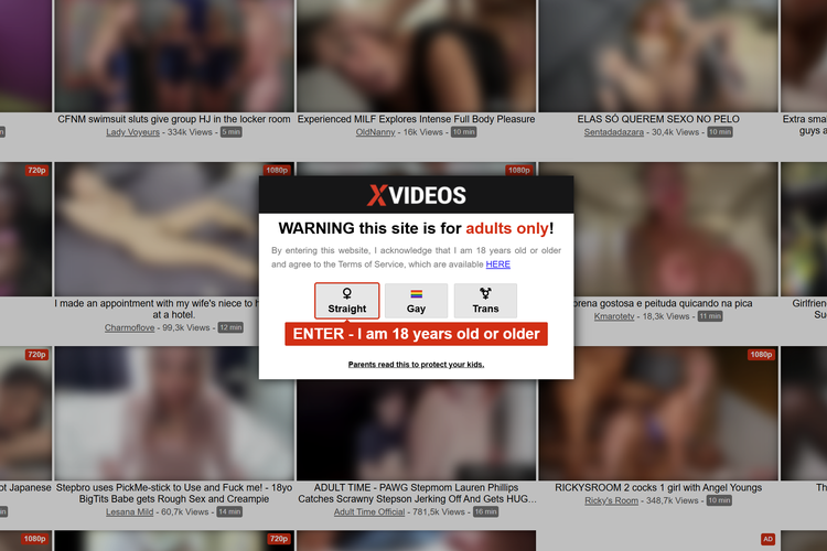 Sådan et stopskilt bliver man i dag mødt af, når man ønsker at tilgå pornosiden Xvideos. Det kræver et klik med musen at komme forbi det. 