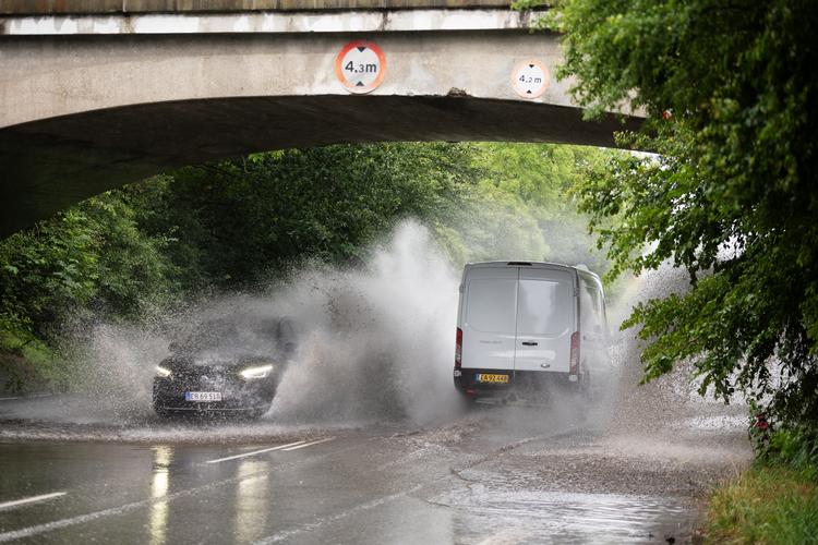 Juli måned har kus mod at blive den niende eller tiende vådeste juli i Danmark.  Foto: Thomas Borberg