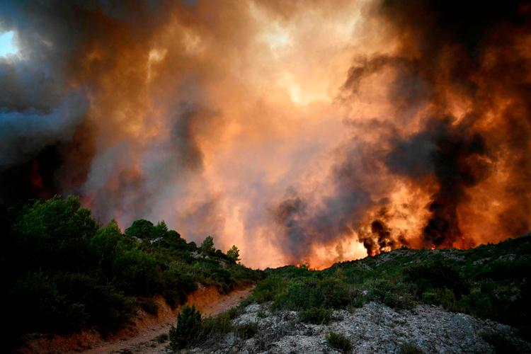En person mistede livet i den omfattende naturbrand, der hærgede i Sydfrankrig denne uge. Branden har på få dage fortæret 17.000 hektar land, et område, der strækker sig over 16 kommuner.  Foto: Lionel Bonaventure/Ritzau Scanpix