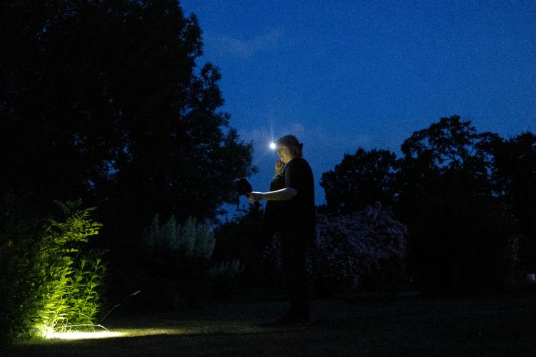 Folk synes, at pindsvin er nuttede, og så er de et af de få vilde dyr, som man får lov at møde på nært hold. Det betyder også, at de kender dyret så godt, at indberetninger om at have set det har en høj troværdighed, understreger Sophie Lund Rasmussen.  Foto: Mads Nissen