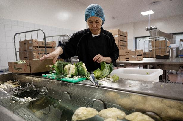 Mere frisk grønt og bælgfrugter er afgørende for, at Eat har halveret CO2-belastningen de seneste fire år.    Foto: Thomas Borberg