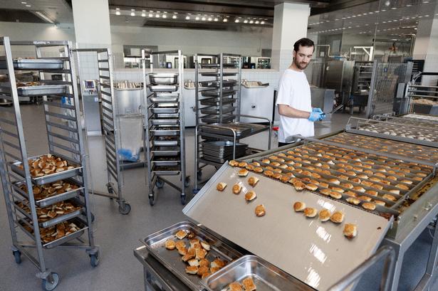 Maskinen steger farsbaseret mad fra kød eller plante Her er det fiskedeller.  Foto: Thomas Borberg