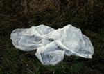 Per Bak Jensens fotografi 'Plastik' fra 2005. Foto: Per Bak Jensen/Sorø Kunstmuseum